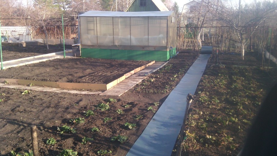 Огород грядки мульчирование солома