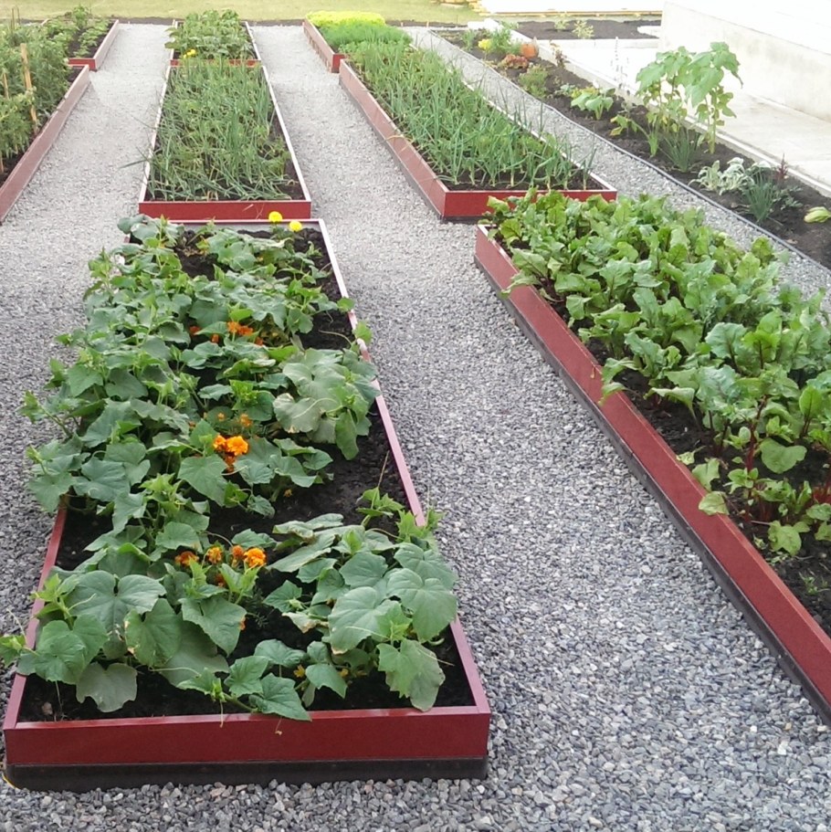 Мидлайнер грядки