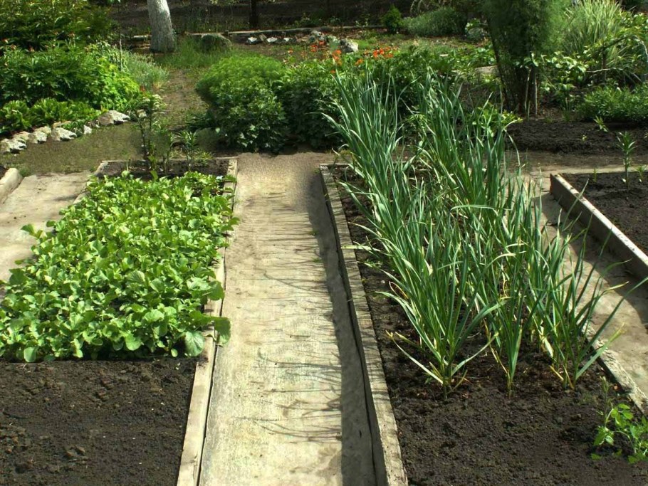 Дорожки между грядками