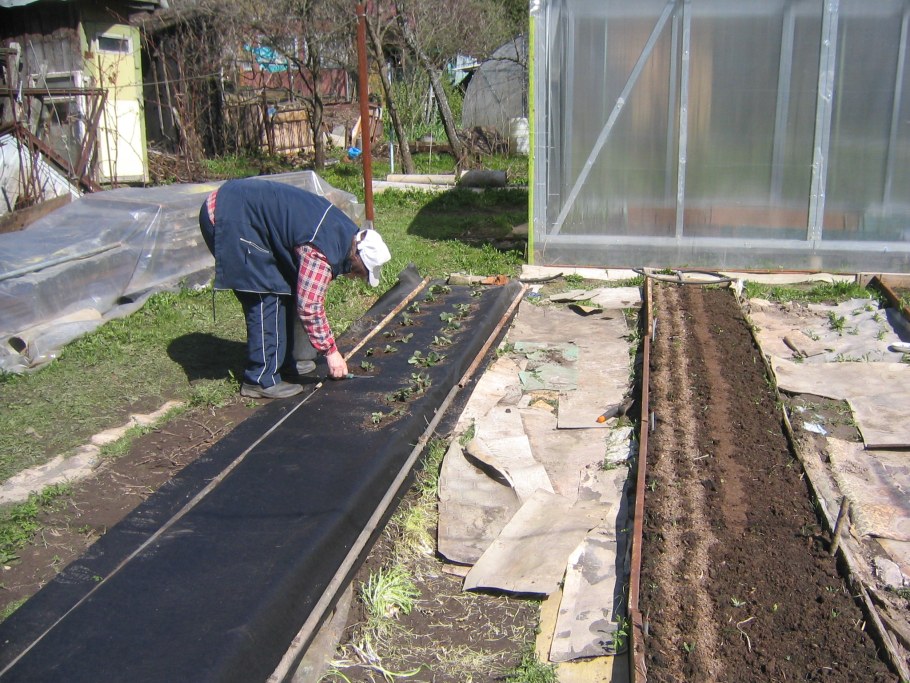 Геотекстиль между грядками