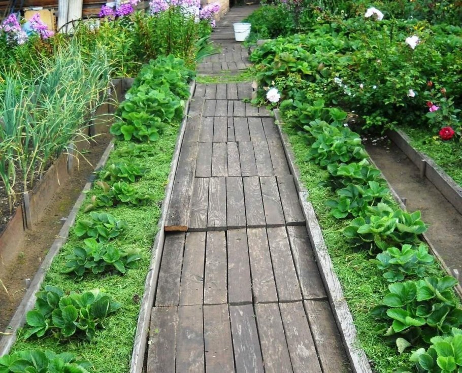 Дорожки между рядами