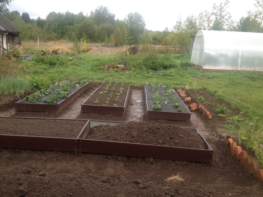 Дачные дорожки между грядками