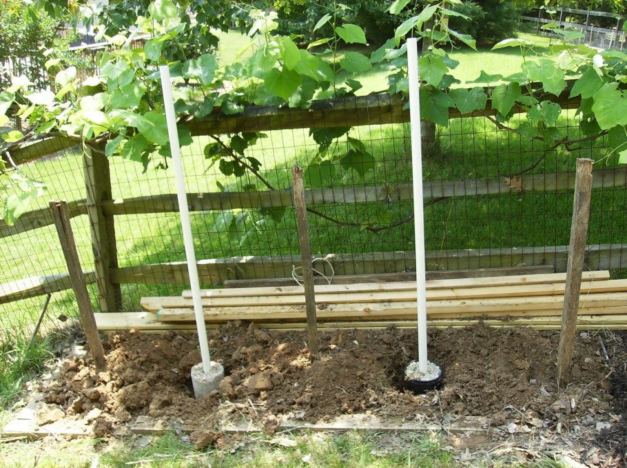 Одноплоскостная шпалера для винограда