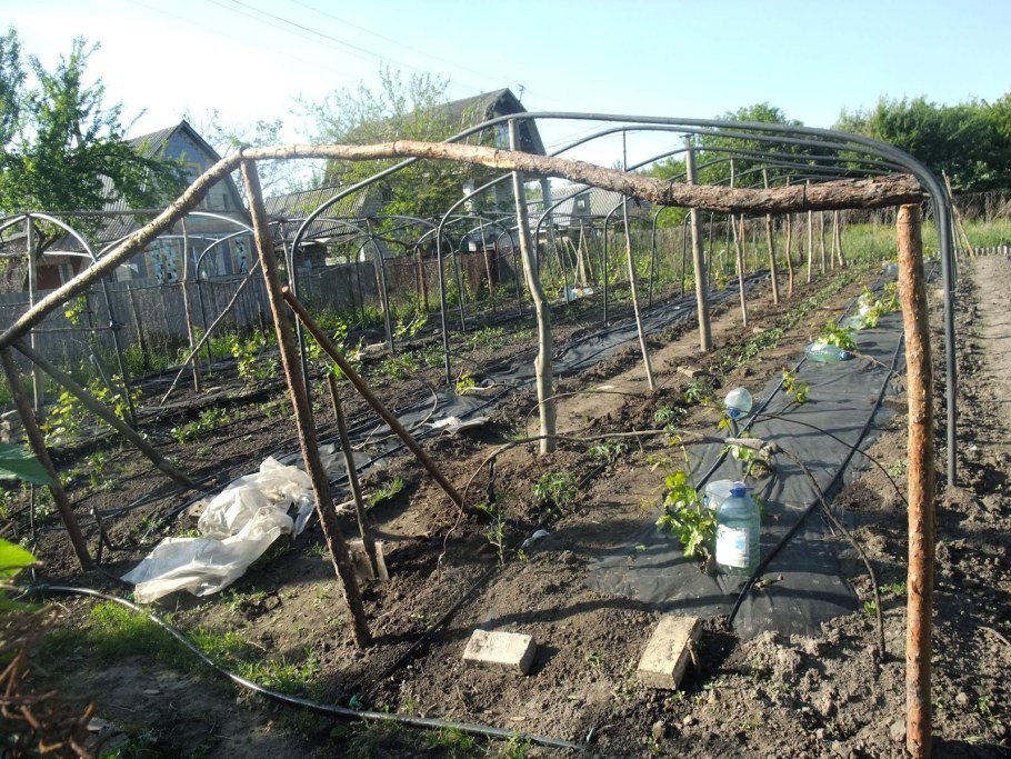 Каркас под виноград