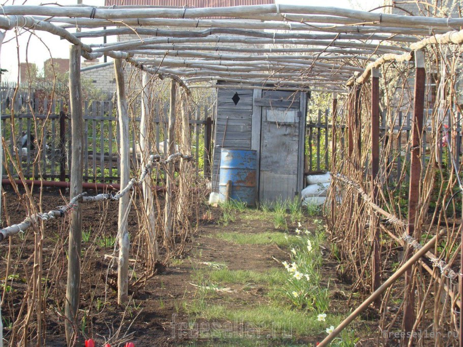 Опора под виноград