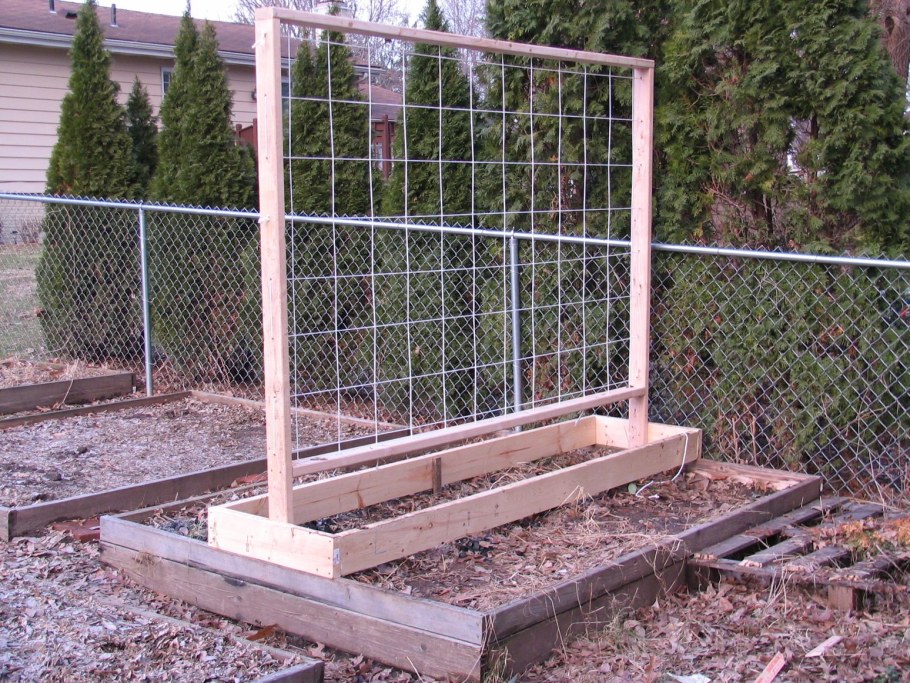 Ограждение для винограда