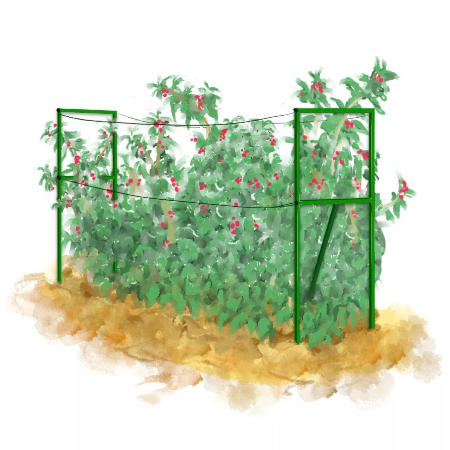 Опора для малины (комплект 2шт) (ЕВВ)