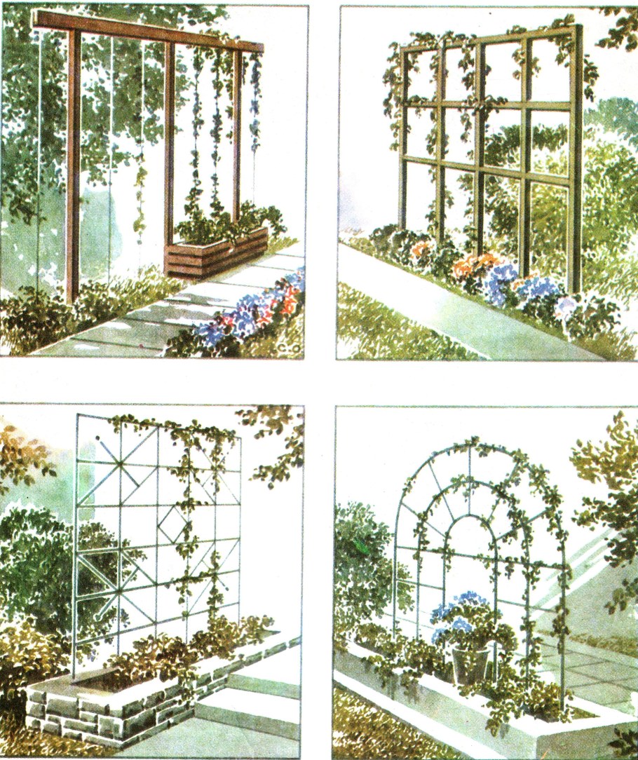 Шпалера для винограда