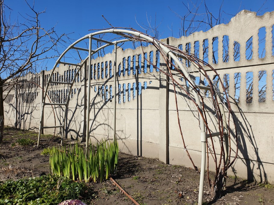 Пергола для винограда из стеклопластиковой арматуры