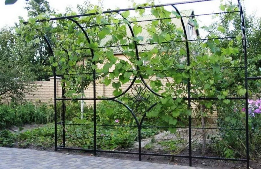 Шпалера полуарка