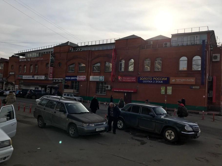 4 Лапы Одинцово Андромеда