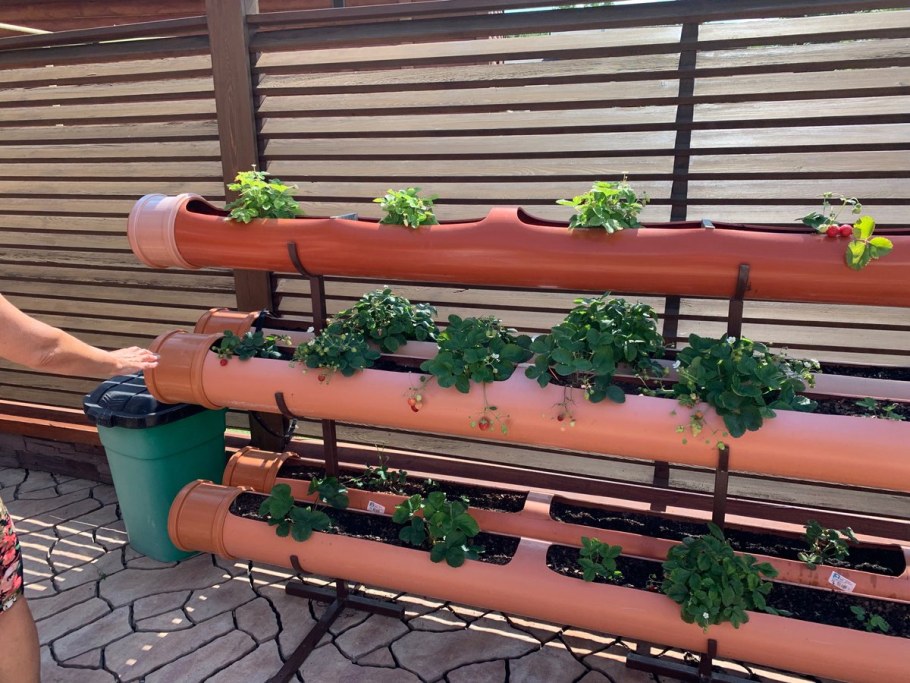 Подвесные грядки для клубники