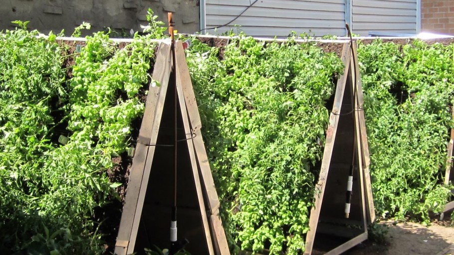 Ящик огурцов