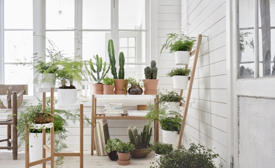 САТСУМАС икеа