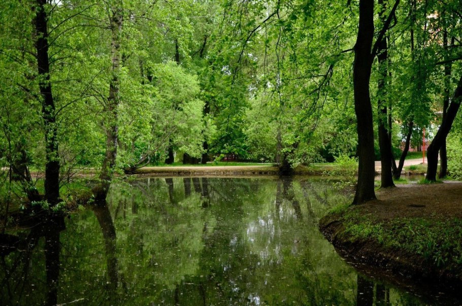 Воронцовский 12 ход строительства