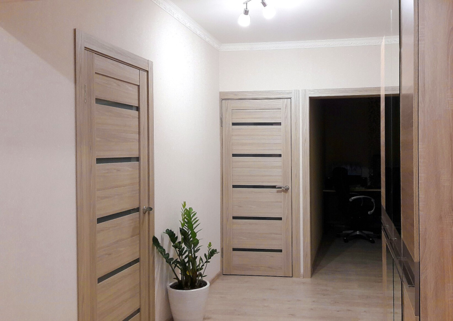 Двери Диодорс Миланика 1