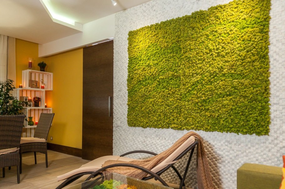 Мох на стене в интерьере