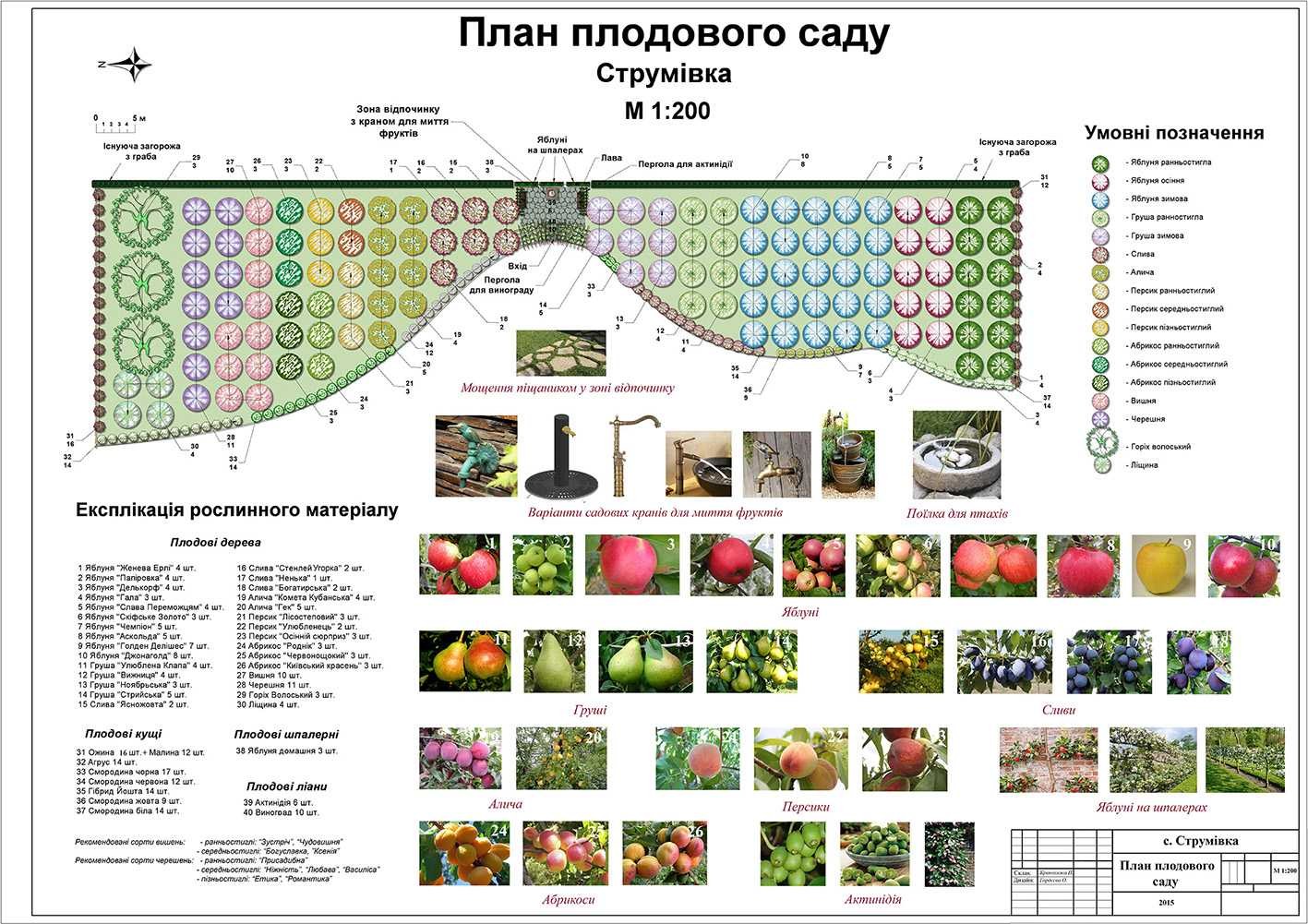 Как разместить кустарники на участке схема