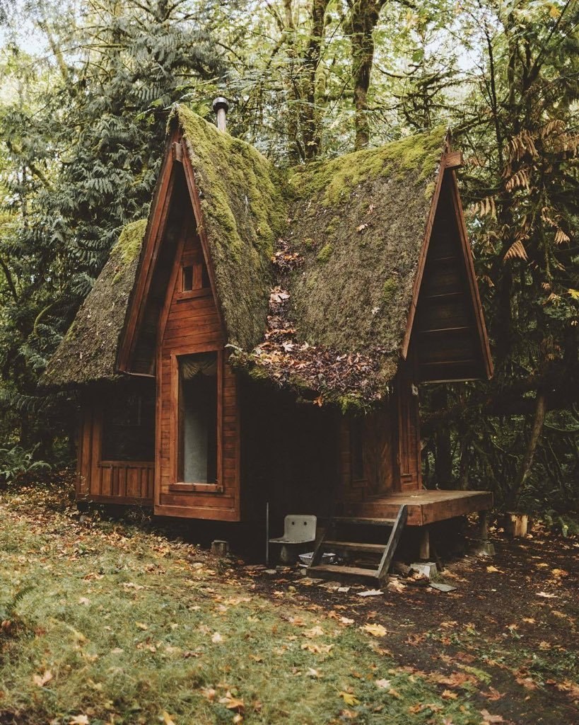 Forest House Хижина в лесу