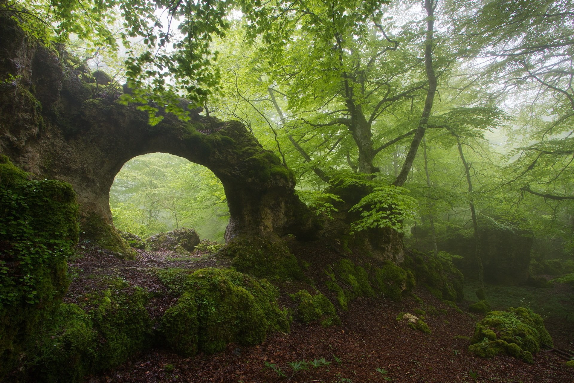 Загадочное рядом. Каменная арка в лесу. Заросший овраг. Красивый обрыв в лесу. Лесная арка.