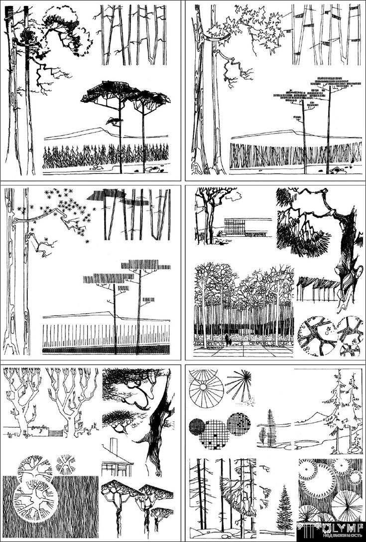 Антураж стаффаж парк