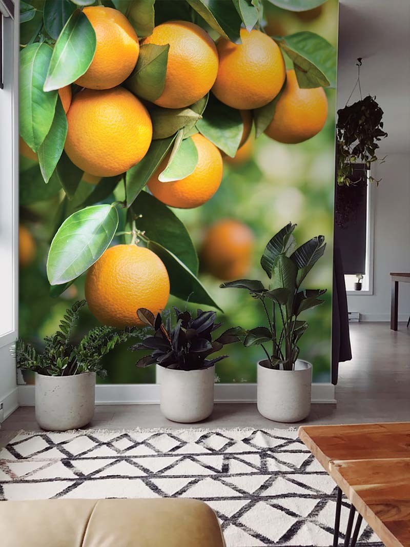 Фотообои апельсины для кухни