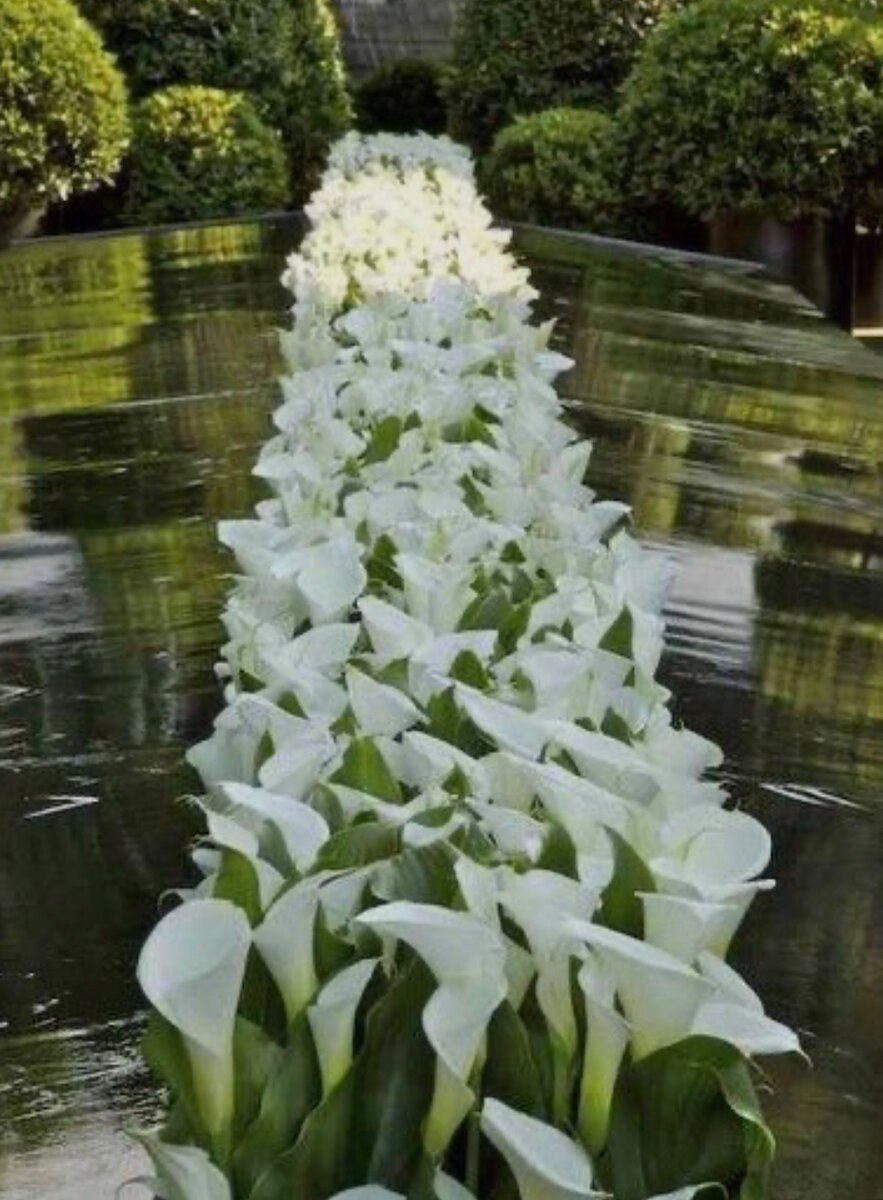 Лилии в ландшафте