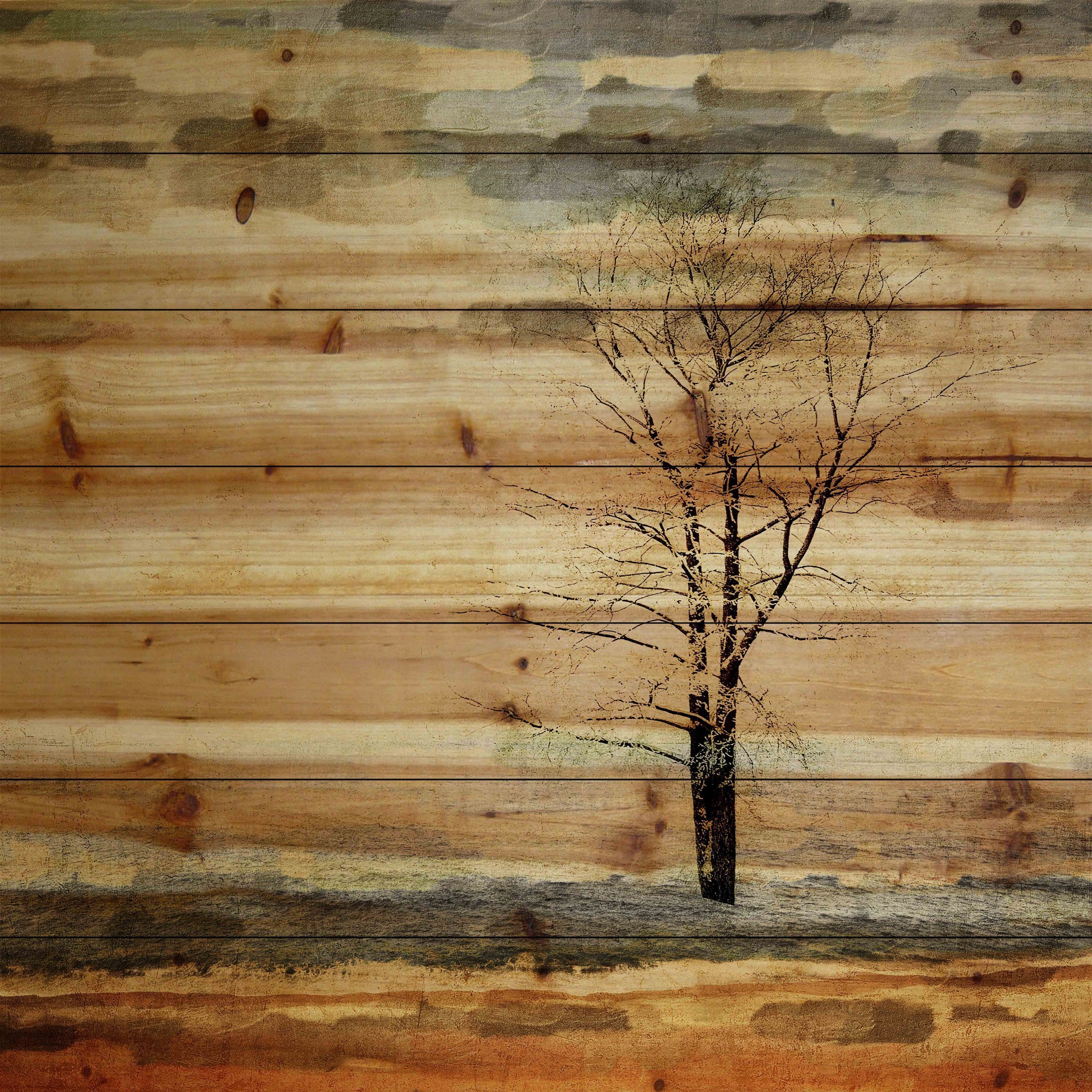 Картинки под дерево. Деревянная стена. Дерево на стене. Стена из деревянных досок. Деревянная текстура.