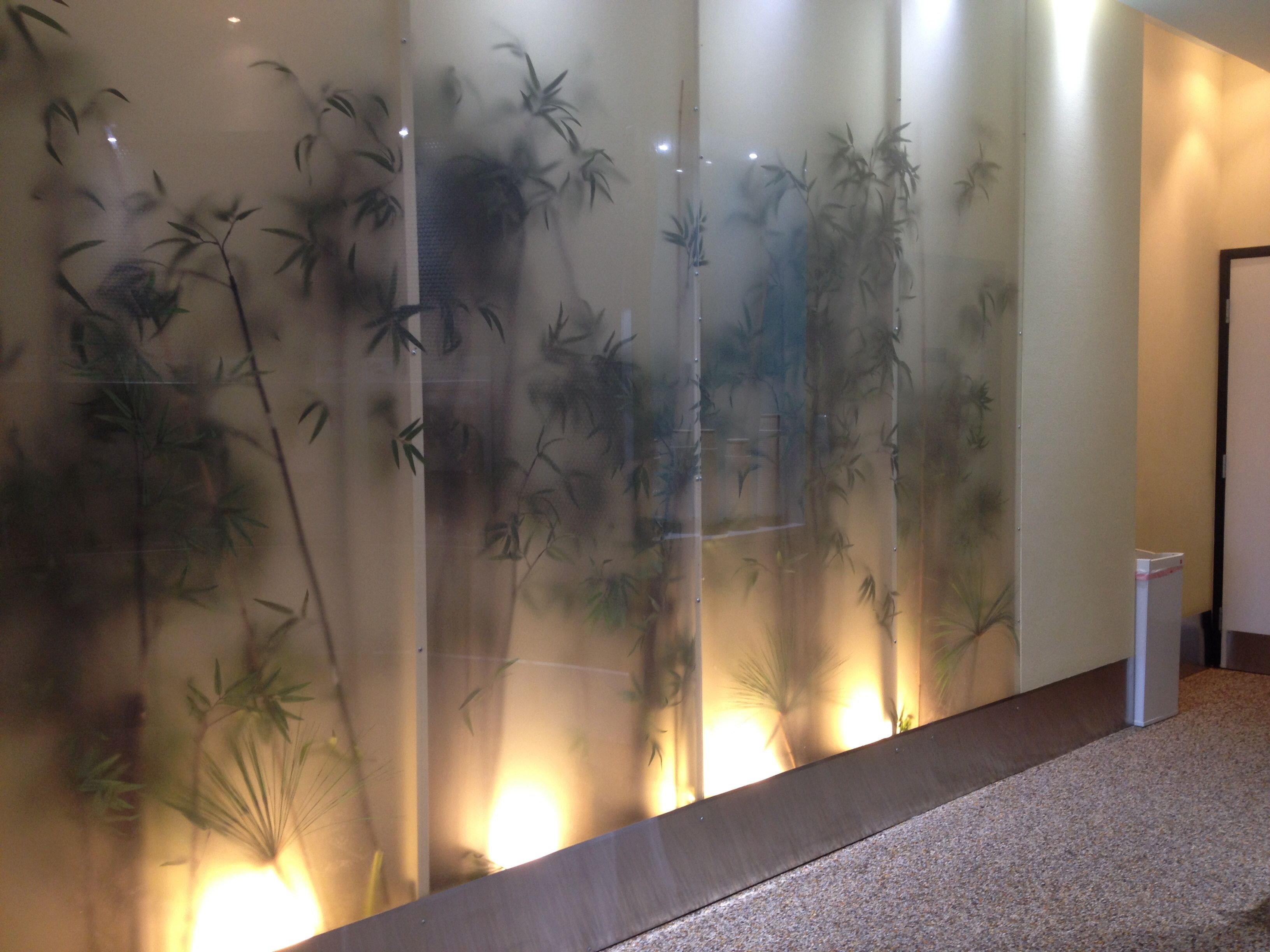Растения за стеклом с подсветкой