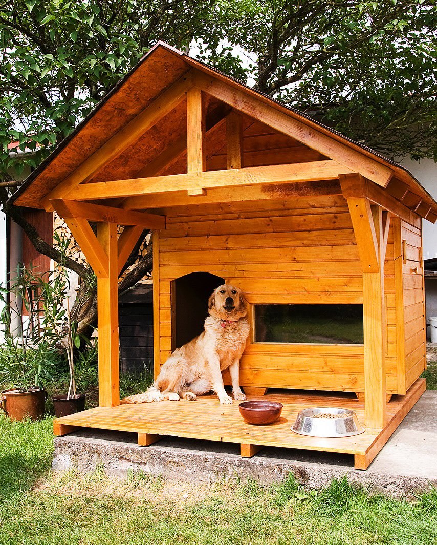 Собака с конурой