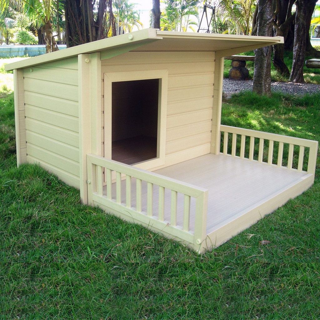New dog house