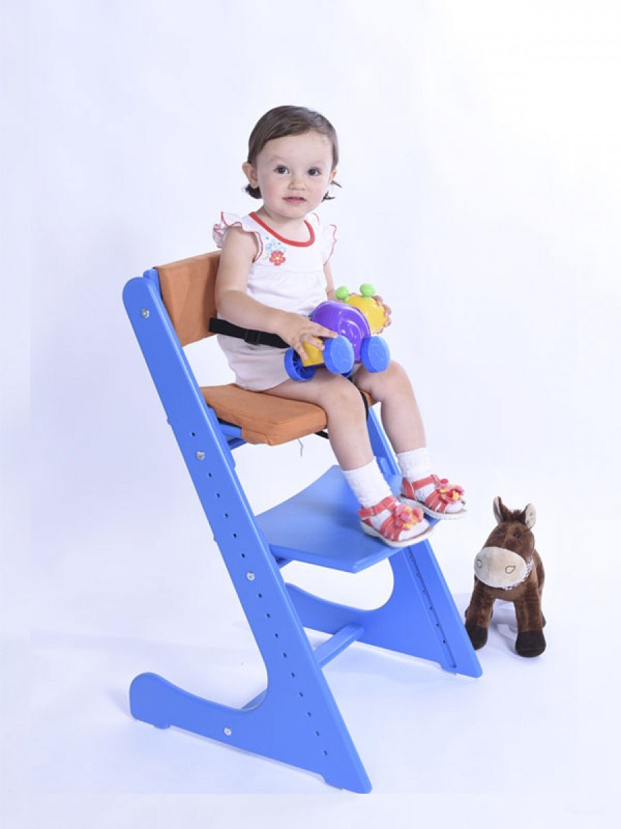 Растущий стульчик конек горбунок