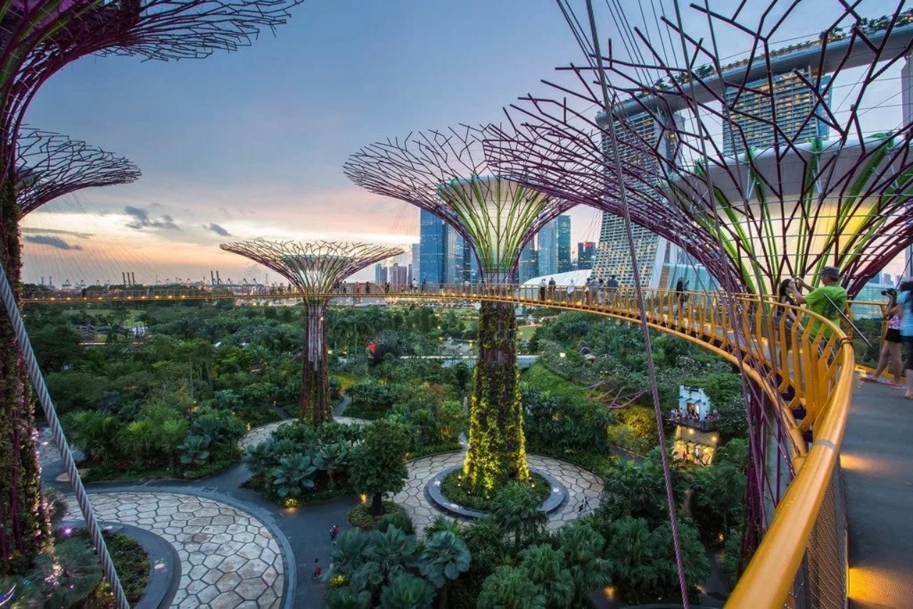 Future park. Сингапур парк сады у залива. Футуристический парк «сады у залива», Сингапур. Роща супердеревьев Сингапур.