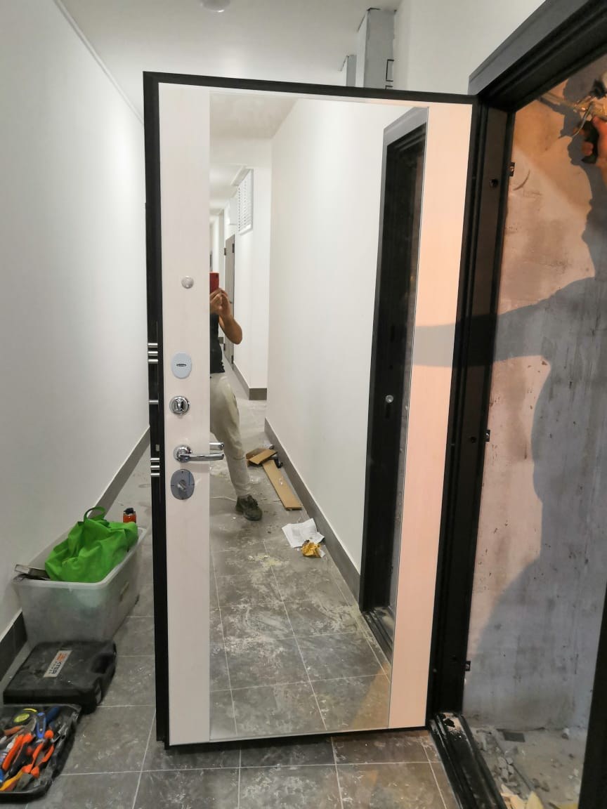 Дверь АСД вектор с зеркалом