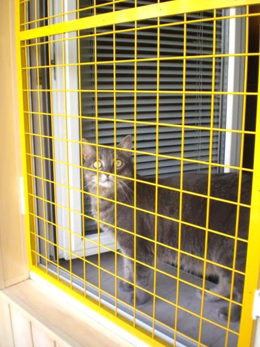 Решетки антикошка на окна