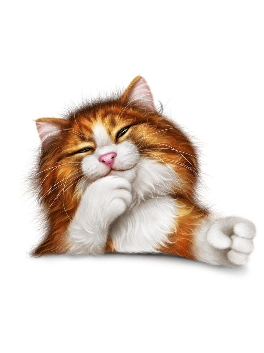 Семья рыжих котов с котятами