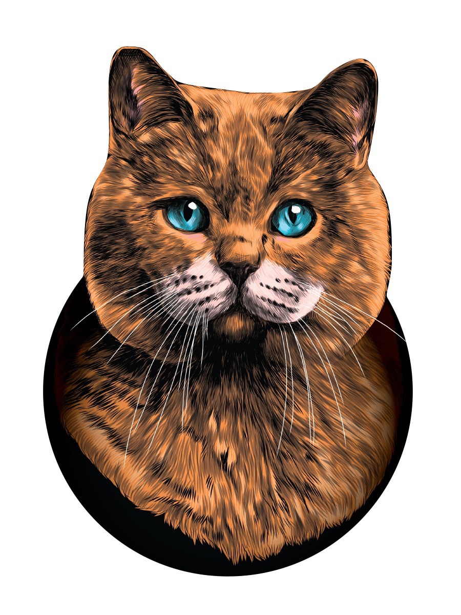 Стикеры рыжий кот