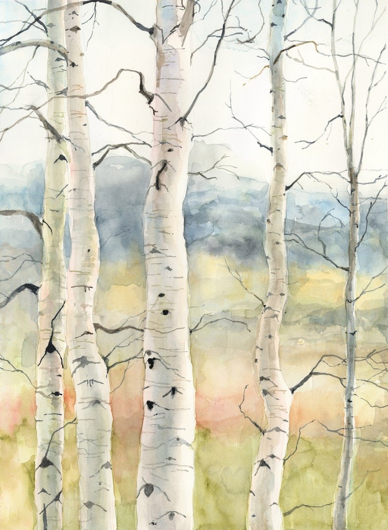 Пейзажи горы скалы деревья береза