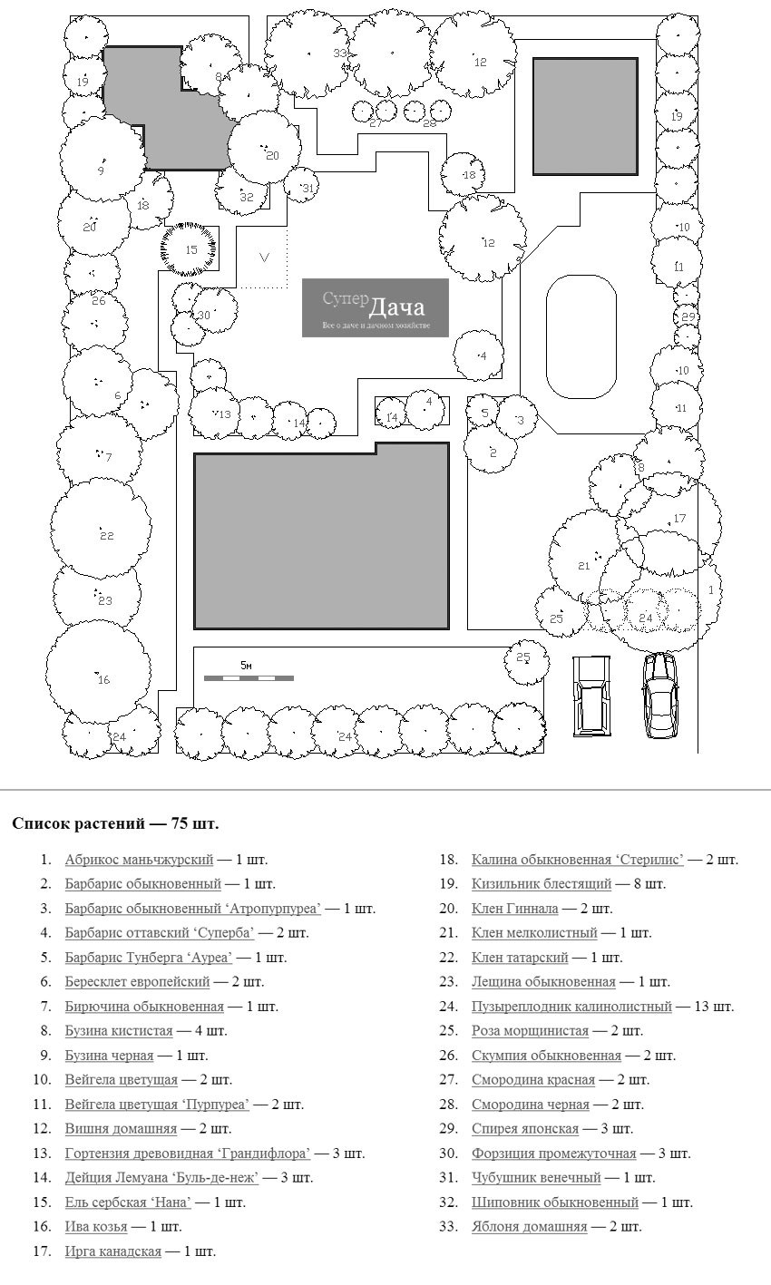 Схема посадки деревьев и кустарников на участке 6 соток