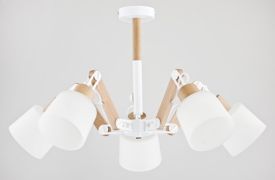 Потолочная люстра Alfa Robin 22325