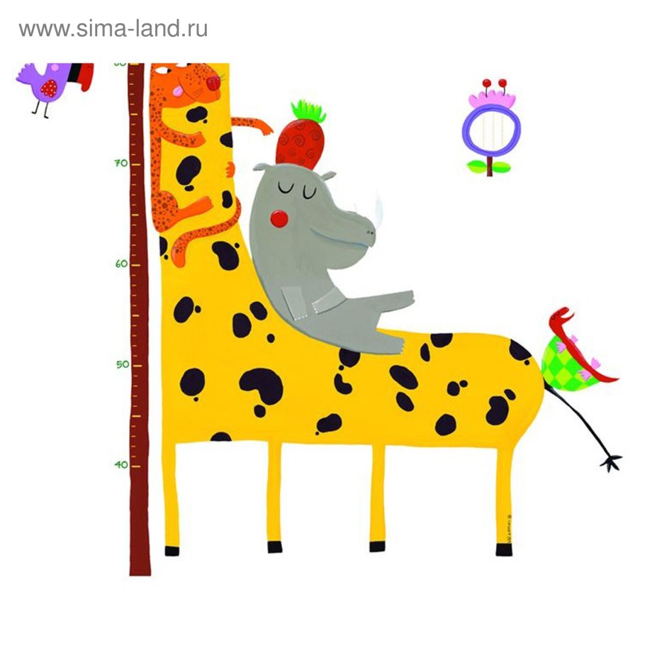 Ростомер Djeco «друзья с амазонки»