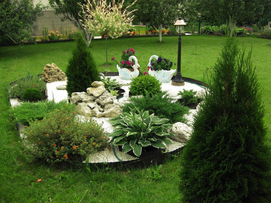 Хвойники хосты пруд