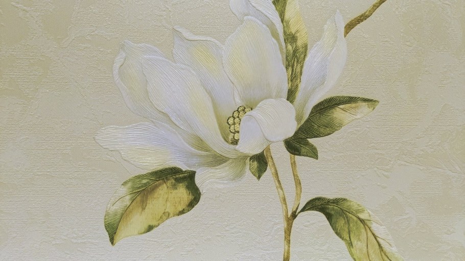 Дороти обои Элизиум