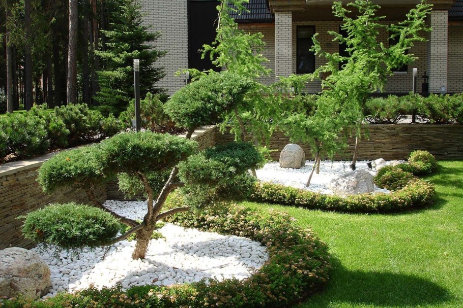 Рокарий с ниваки