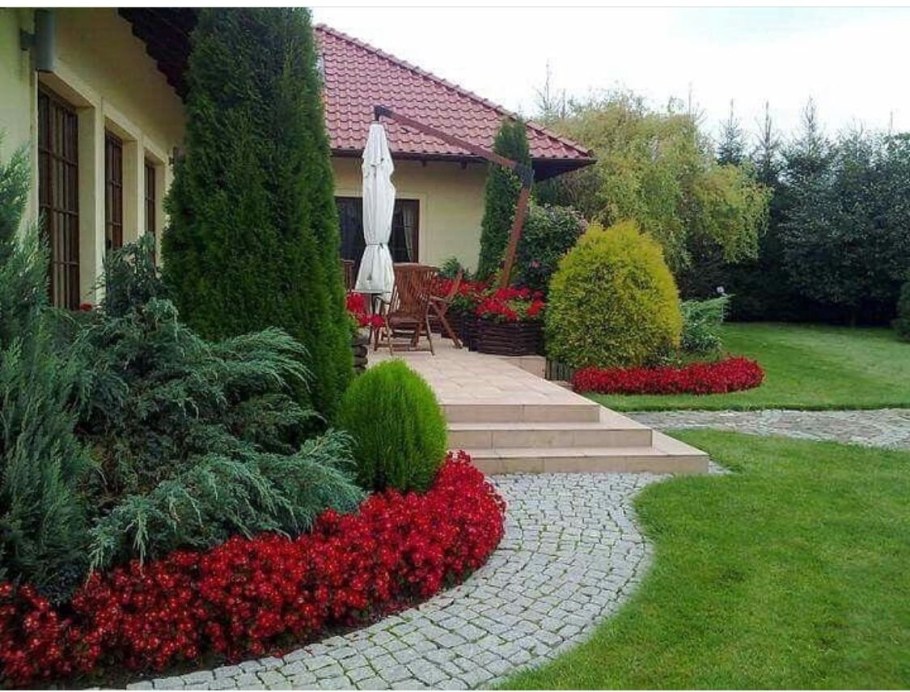 Туя Смарагд и Даника в ландшафте