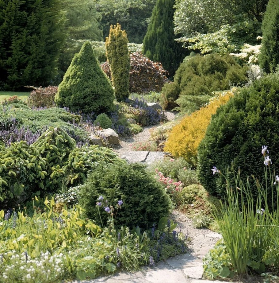 Хвойно Вересковый миксбордер