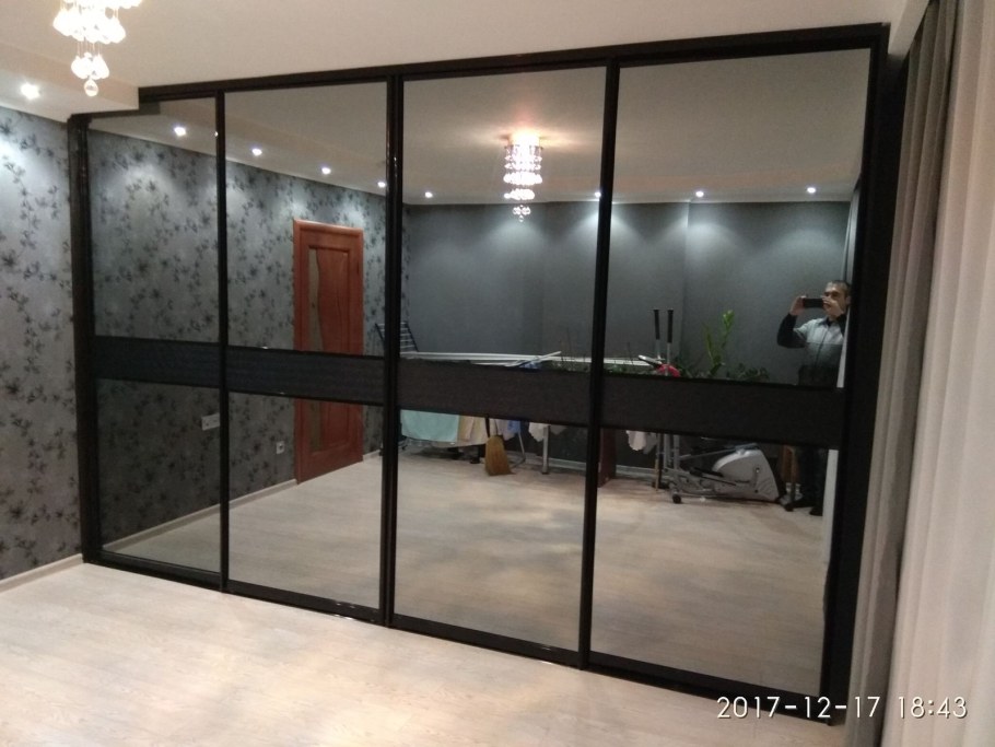 Двери купе зеркало графит