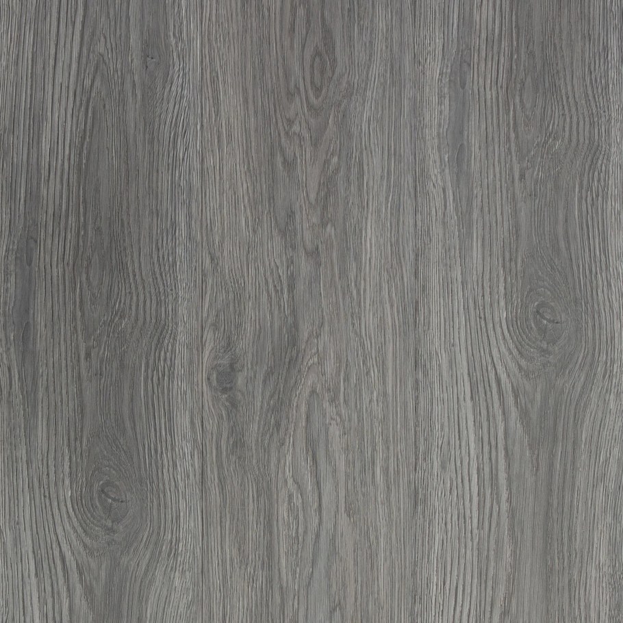 Шеффилдский серый дуб