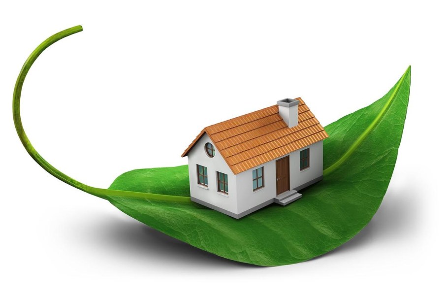 Экология жилища