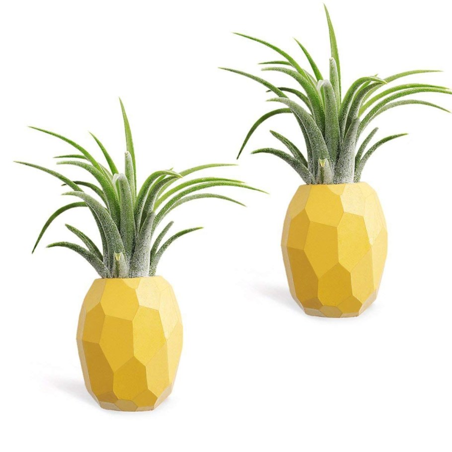 Горшок для цветов ананас